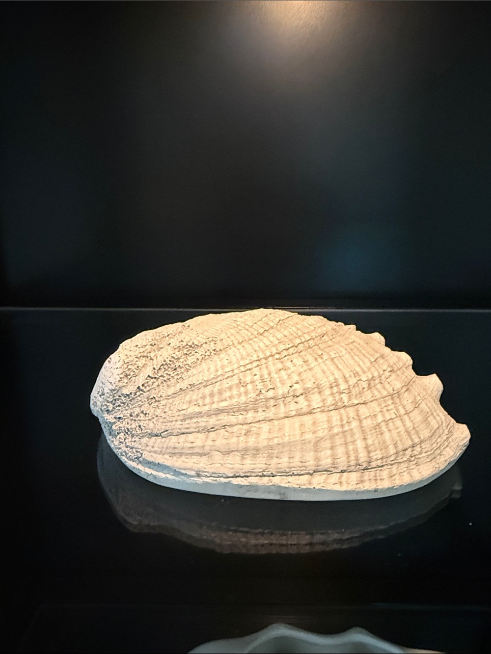 White Abalone Shell Resin